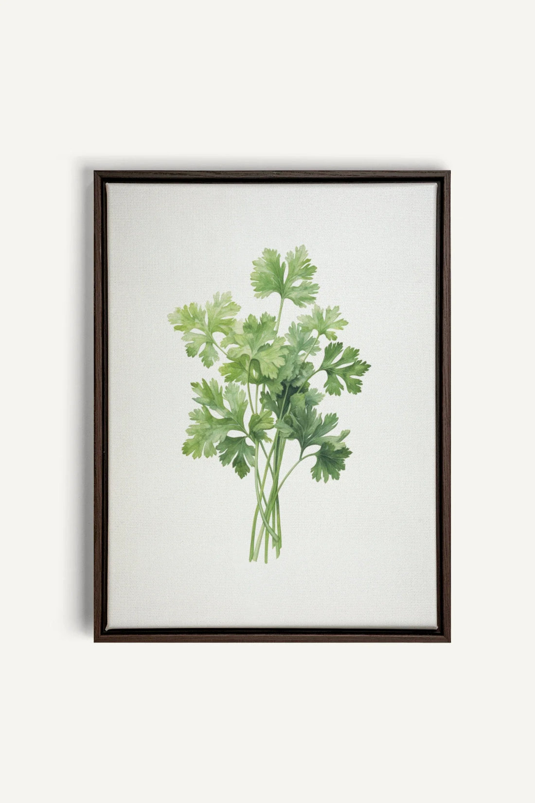 OLEKA CANVAS - CILANTRO, Oeuvre sur toile étirée, encadré Brun Noyer