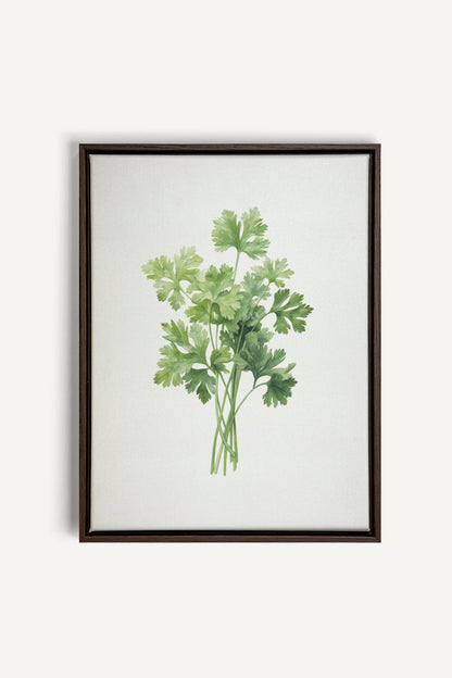 OLEKA CANVAS - CILANTRO, Oeuvre sur toile étirée, encadré Brun Noyer