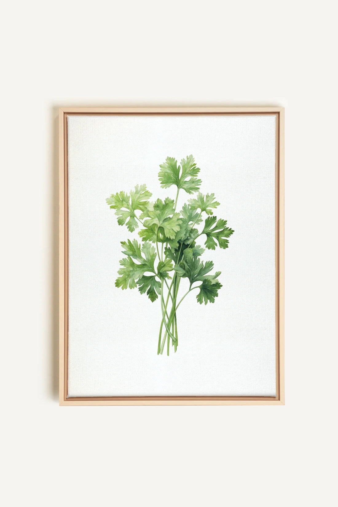 OLEKA CANVAS - CILANTRO, Oeuvre sur toile étirée, encadré Naturel Clair