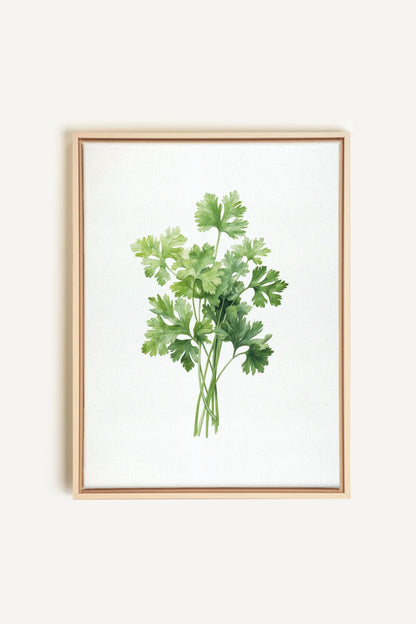 OLEKA CANVAS - CILANTRO, Oeuvre sur toile étirée, encadré Naturel Clair