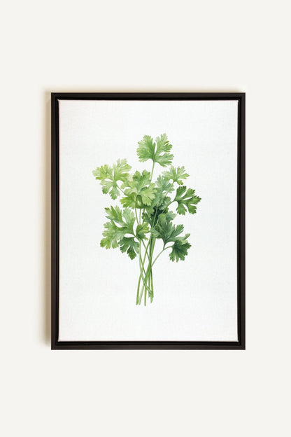 OLEKA CANVAS - CILANTRO, Oeuvre sur toile étirée, encadré Noir