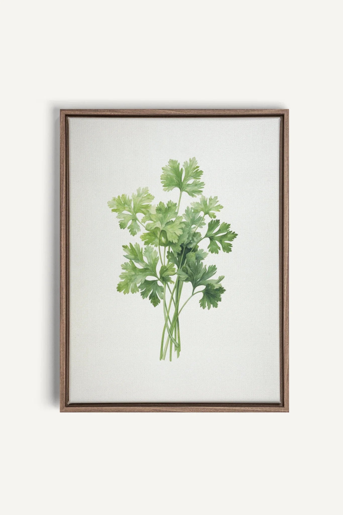 OLEKA CANVAS - CILANTRO, Oeuvre sur toile étirée, encadré Brun Chêne