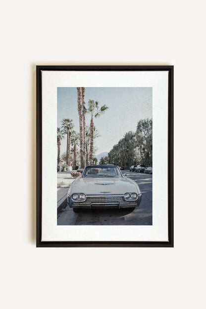 OLEKA CANVAS - CLASSIC PALM RIDE, Oeuvre sur toile étirée, encadré Noir