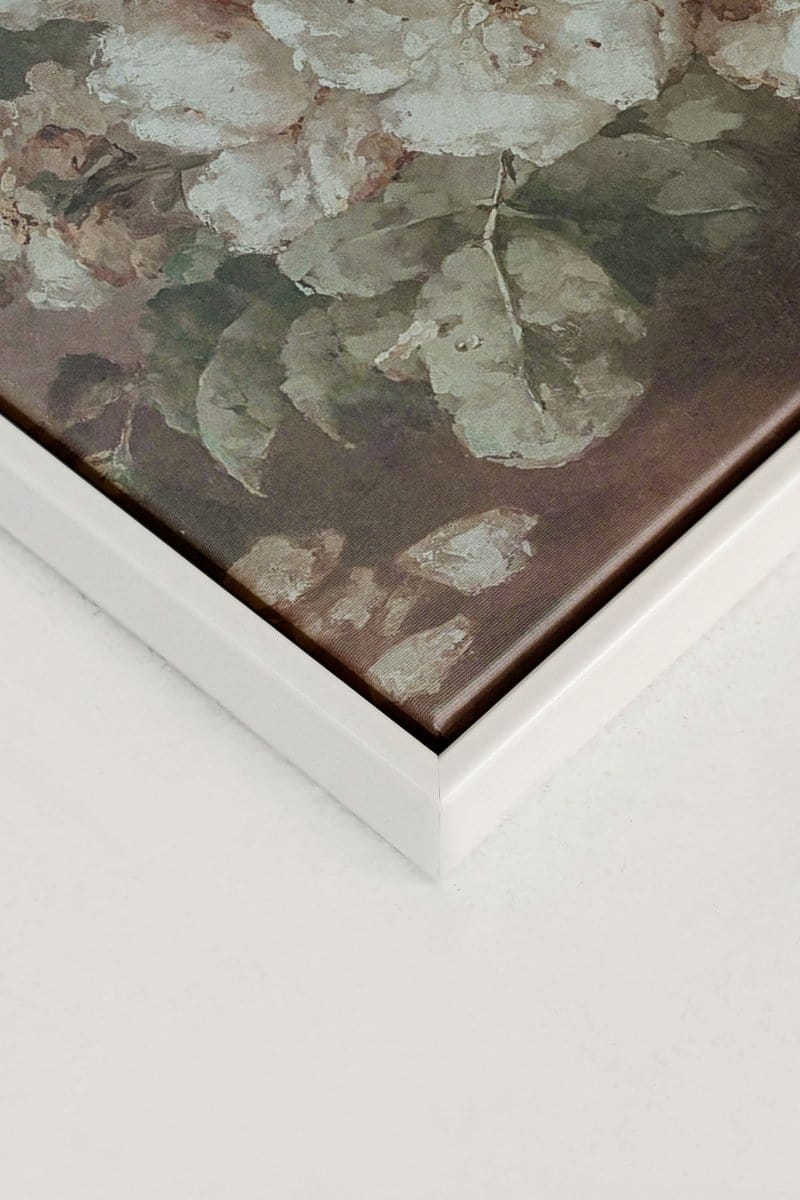 OLEKA CANVAS - WHITE PEONY, Oeuvre sur toile étirée, encadré Blanc