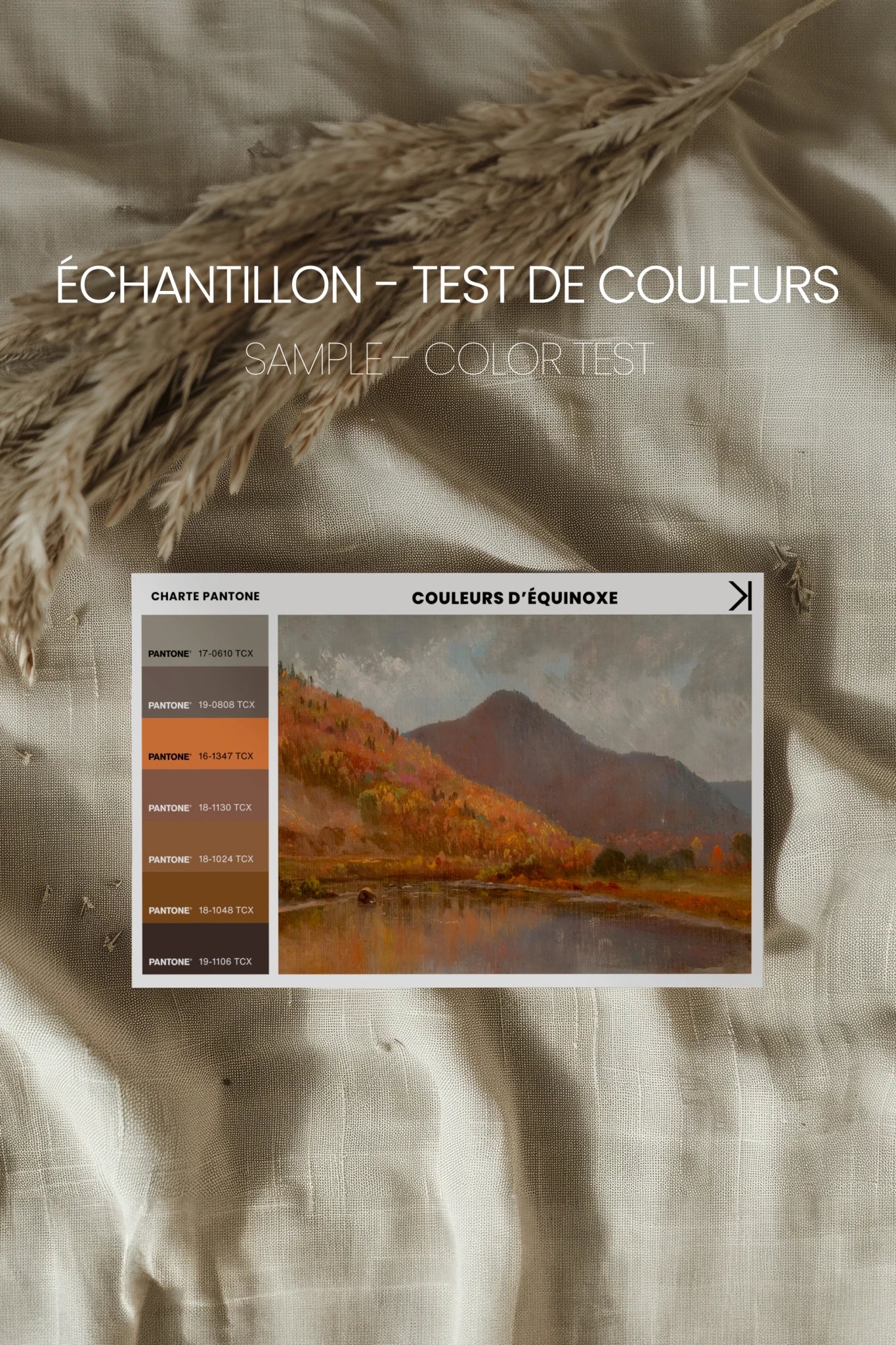 COULEURS D&