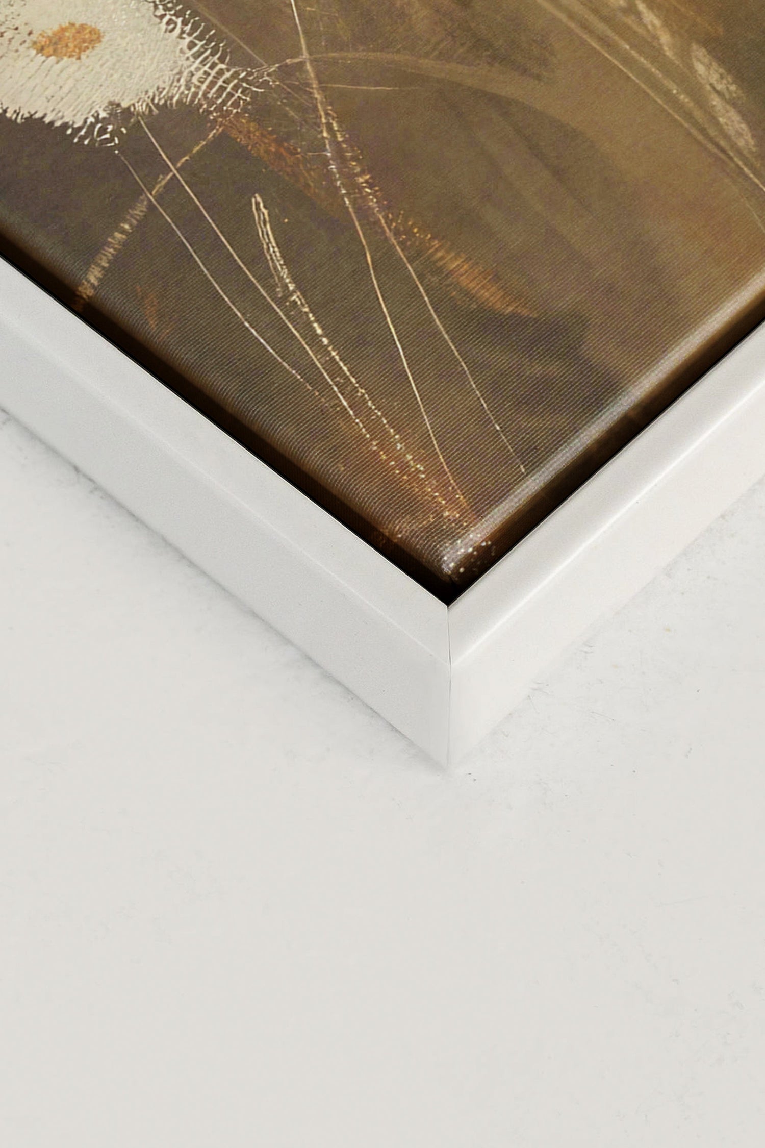 OLEKA CANVAS - Daisy Breeze, Oeuvre sur toile étirée, encadré Blanc