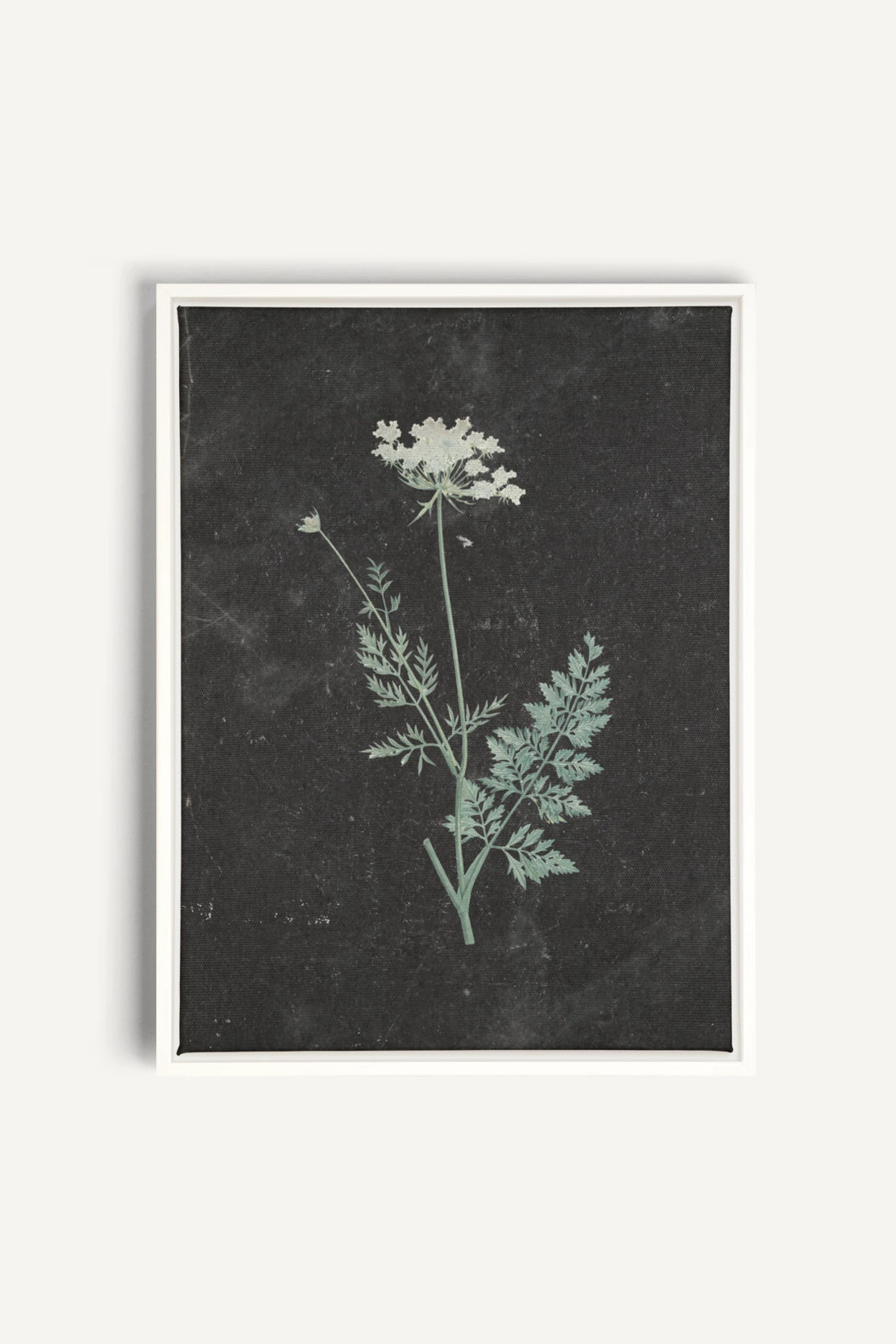 DENTELLE SAUVAGE, Work on stretched canvas, framed White