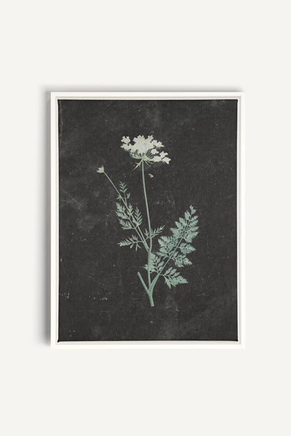 DENTELLE SAUVAGE, Work on stretched canvas, framed White