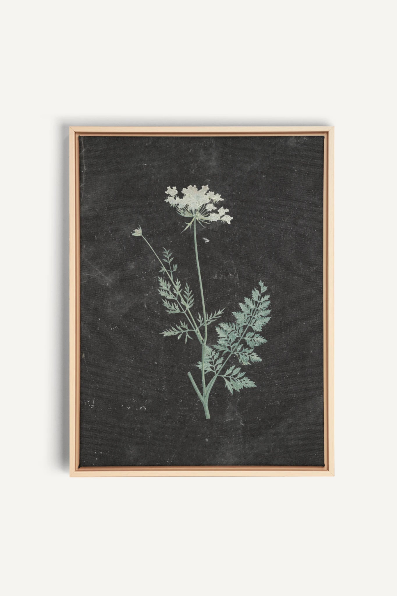 DENTELLE SAUVAGE, Work on stretched canvas, framed Naturel Clair