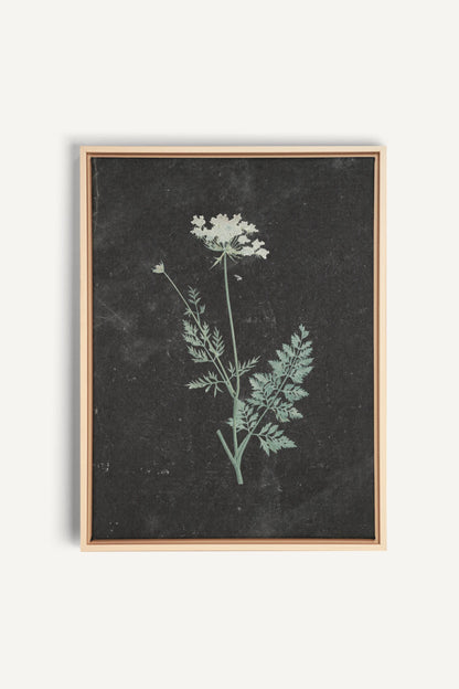 DENTELLE SAUVAGE, Work on stretched canvas, framed Naturel Clair