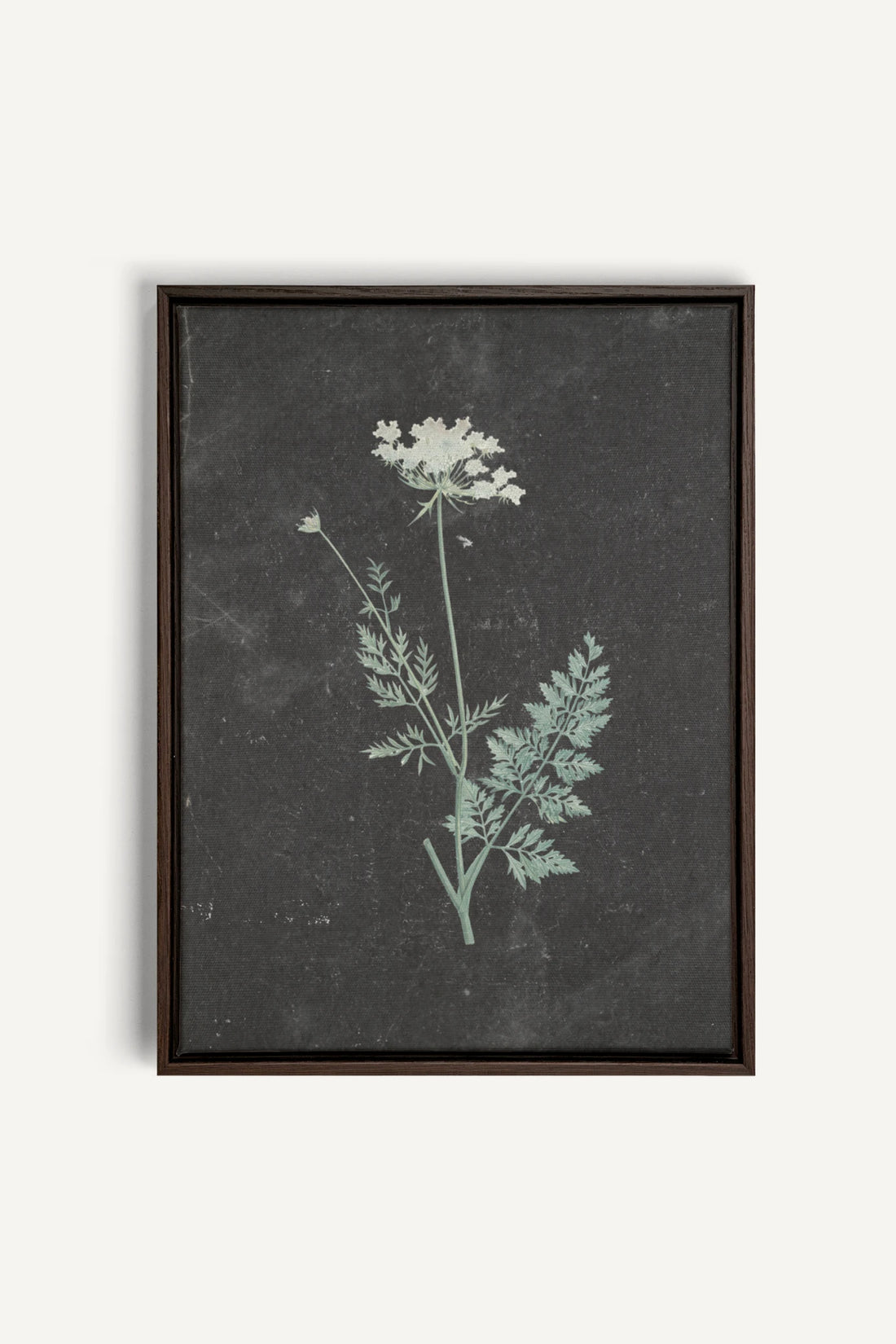 DENTELLE SAUVAGE, Oeuvre sur toile étirée, encadré Brun Noyer