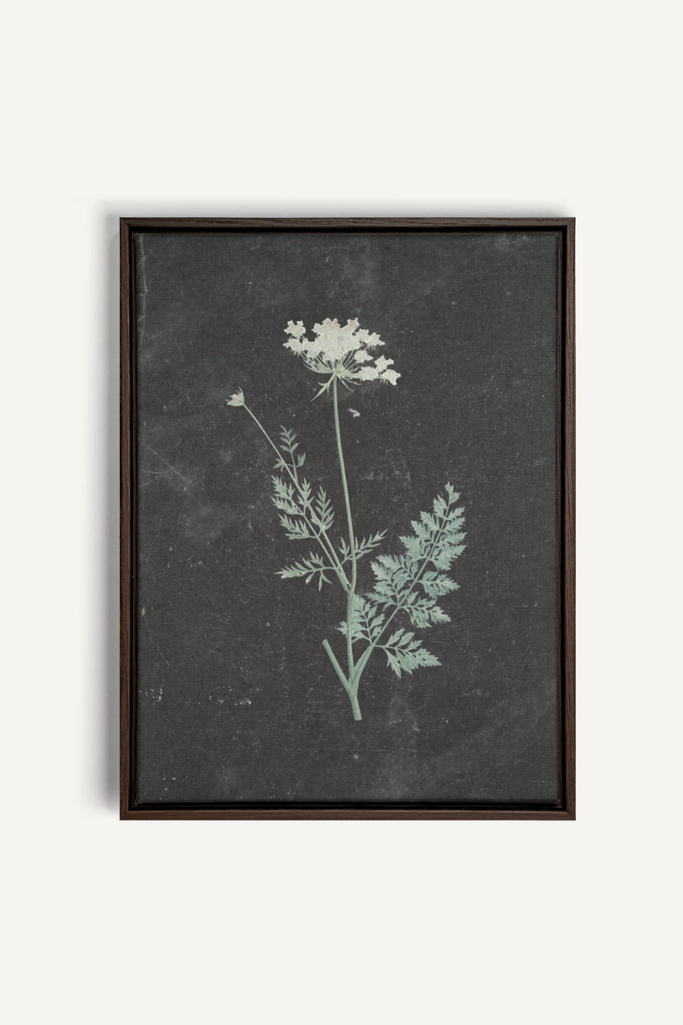 DENTELLE SAUVAGE, Oeuvre sur toile étirée, encadré Brun Noyer