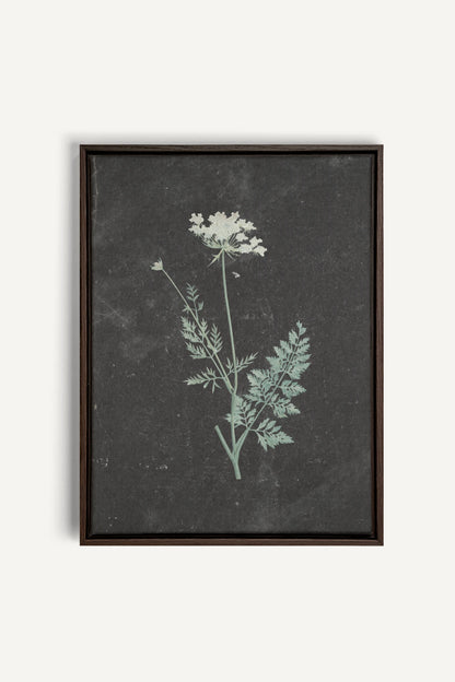 DENTELLE SAUVAGE, Oeuvre sur toile étirée, encadré Brun Noyer