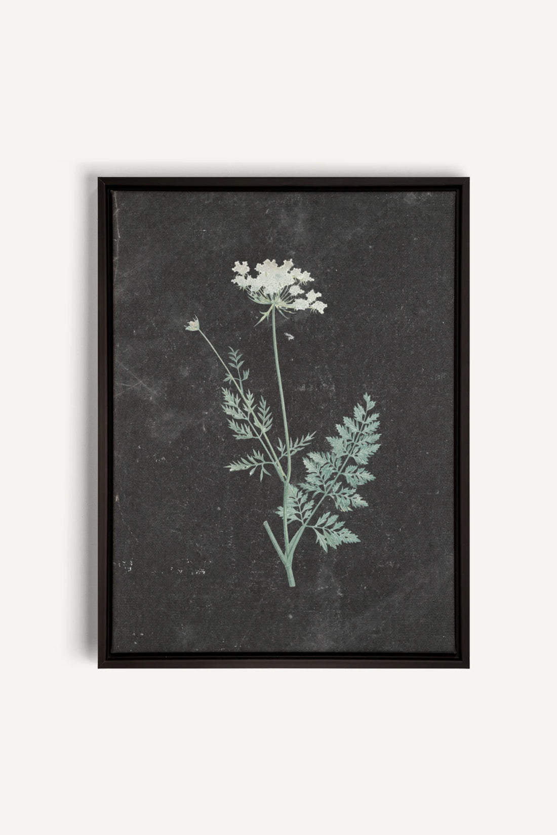 DENTELLE SAUVAGE, Work on stretched canvas, framed Black