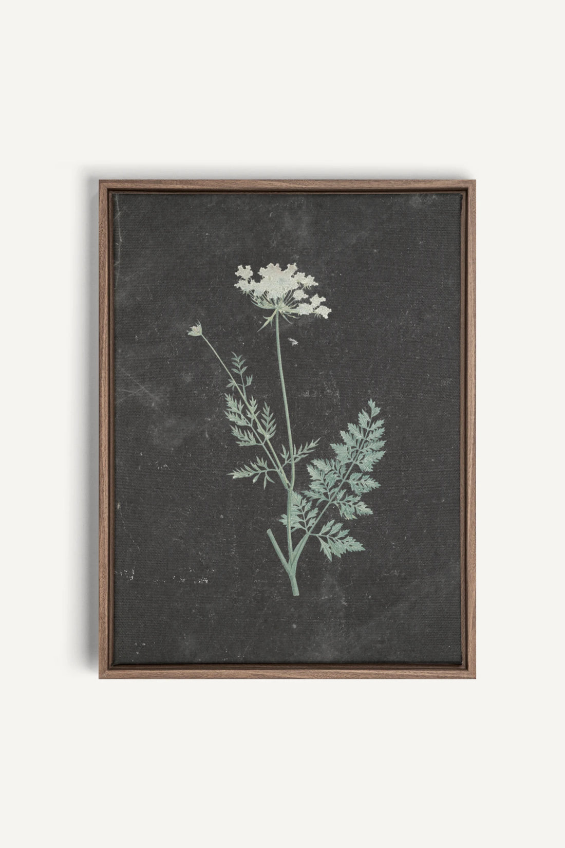 DENTELLE SAUVAGE, Work on stretched canvas, framed Oak Brown