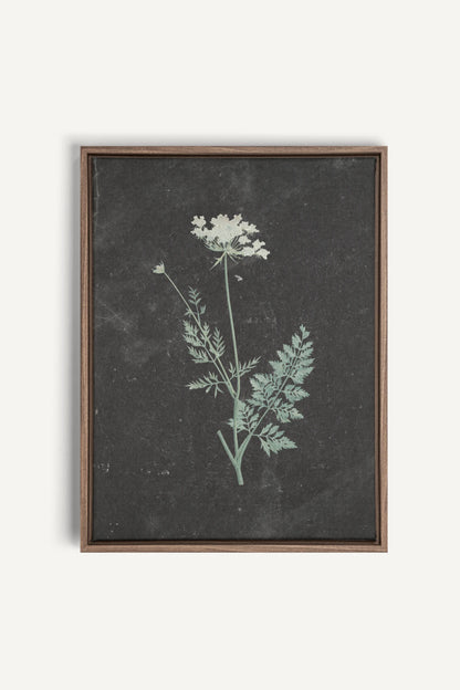 DENTELLE SAUVAGE, Work on stretched canvas, framed Oak Brown