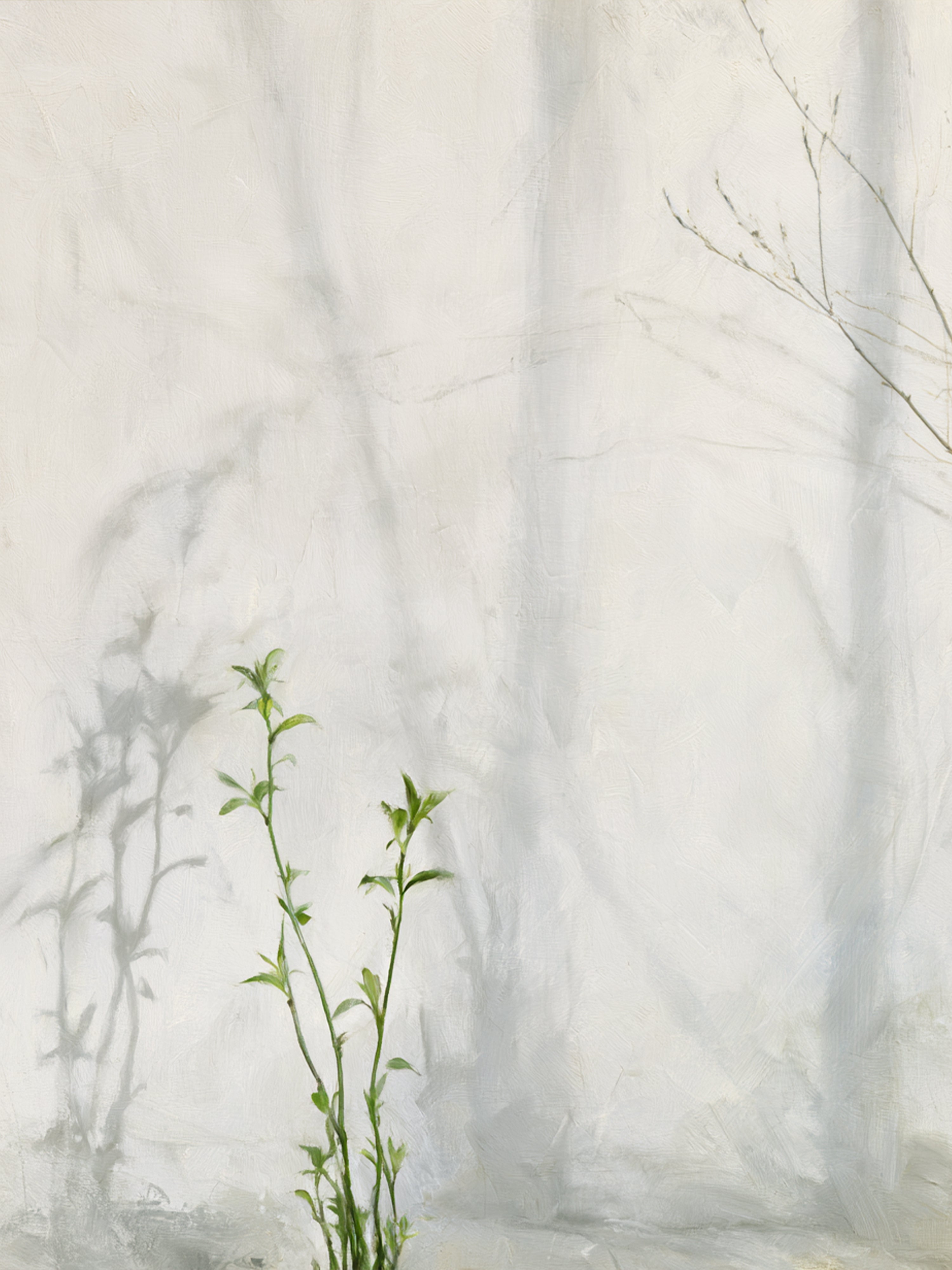 EMPREINTES DE LUMIÈRE DUO - Canvas 2
