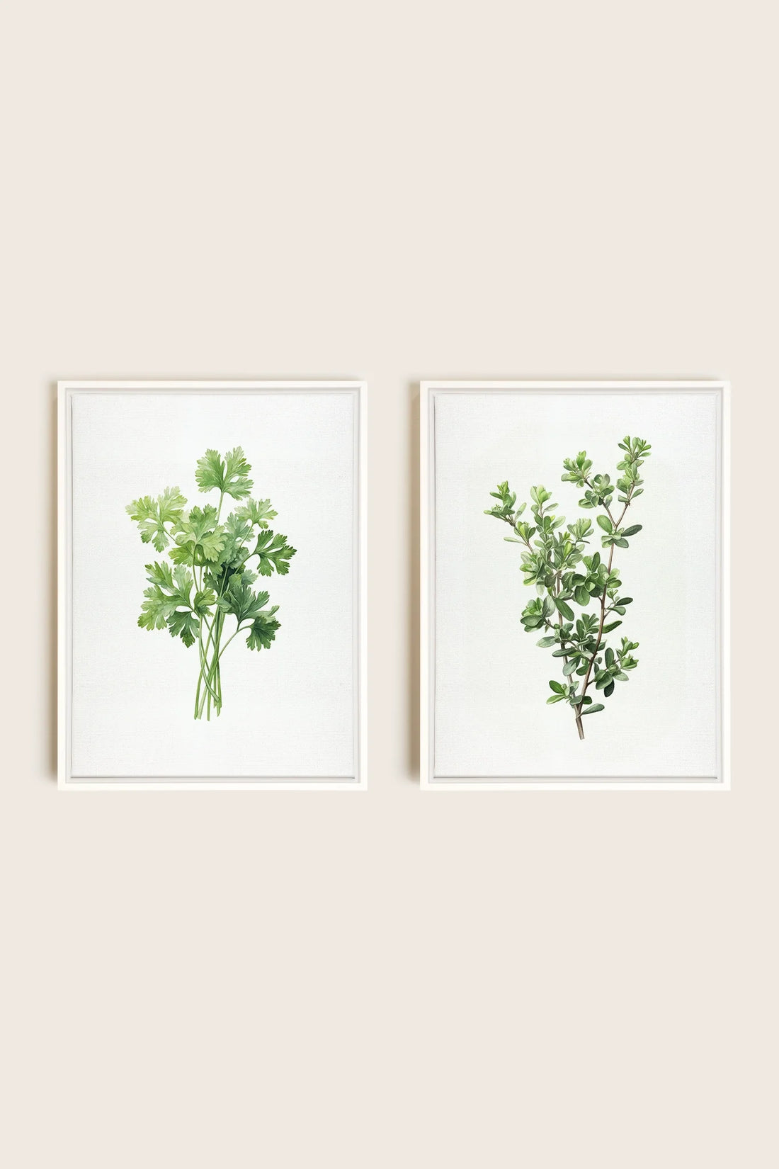 OLEKA CANVAS - DUO FINES HERBES, 2 Oeuvres sur toile étirée, encadré Blanc