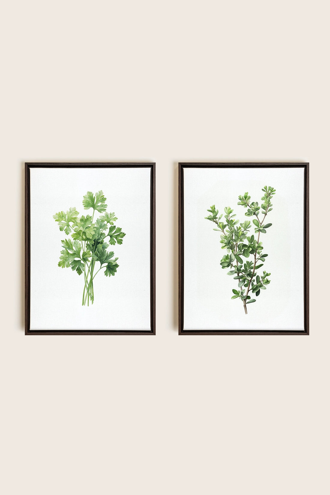 DUO FINES HERBES, 2 Works on stretched canvas, framed in Walnut Brown