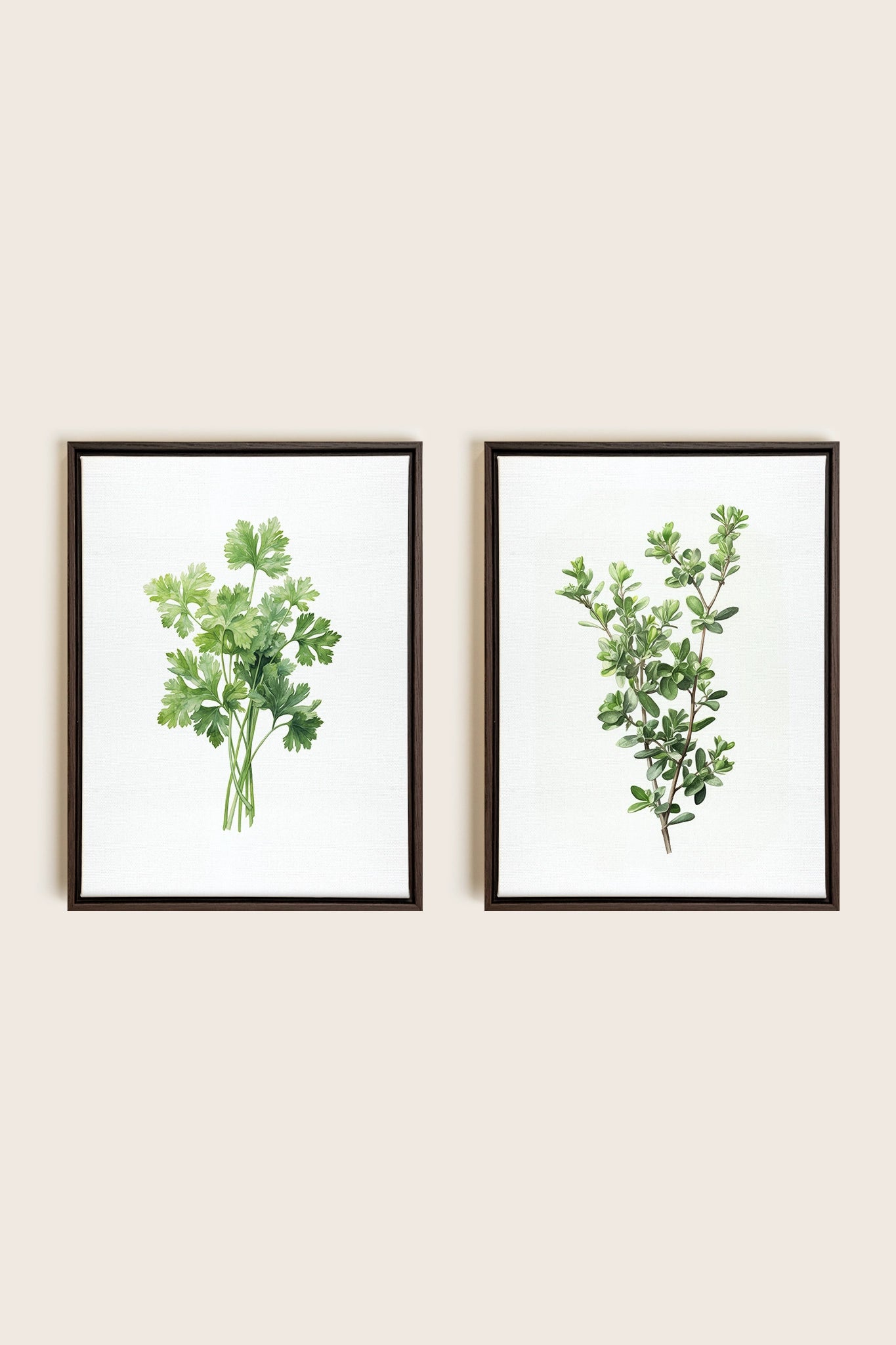 DUO FINES HERBES, 2 Works on stretched canvas, framed in Walnut Brown