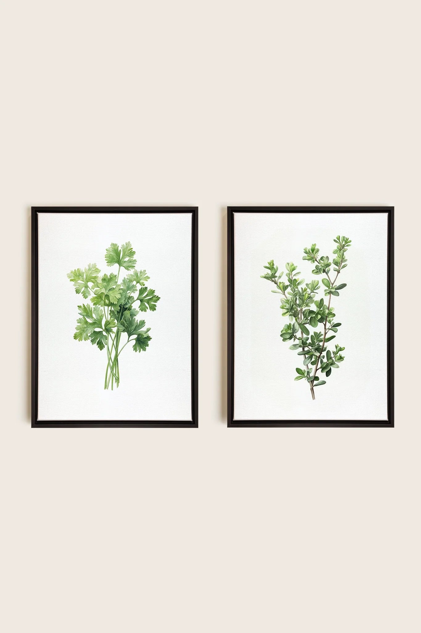 OLEKA CANVAS - DUO FINES HERBES, 2 Oeuvres sur toile étirée, encadré Noir