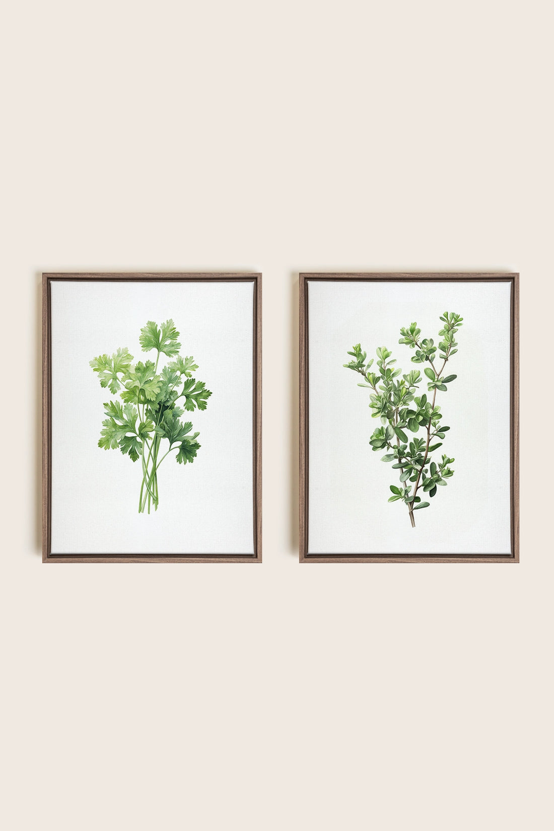 DUO FINES HERBES, 2 Works on stretched canvas, framed Oak Brown