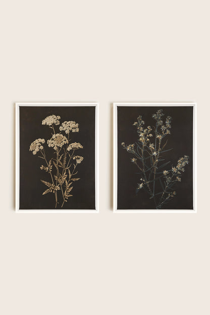 DUO FLEURS PRÉCIEUSES, 2 Oeuvres sur toile étirée, encadré Blanc