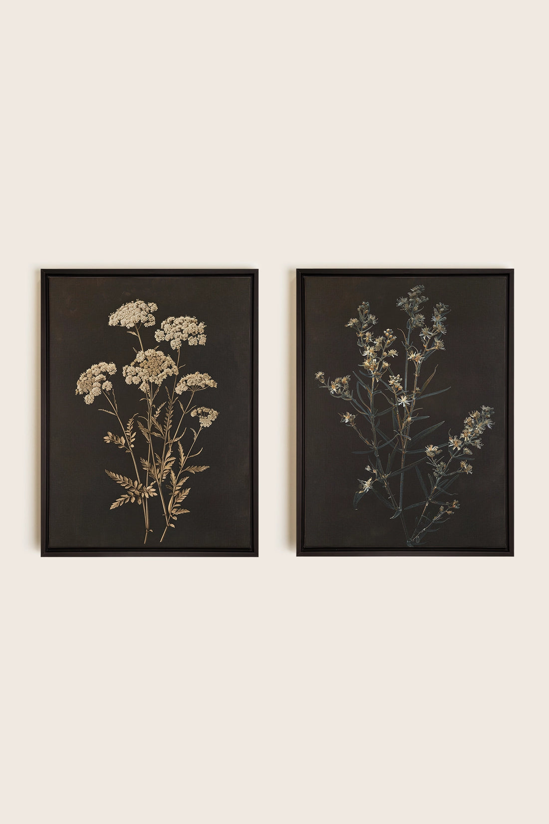 DUO FLEURS PRÉCIEUSES, 2 Oeuvres sur toile étirée, encadré Noir