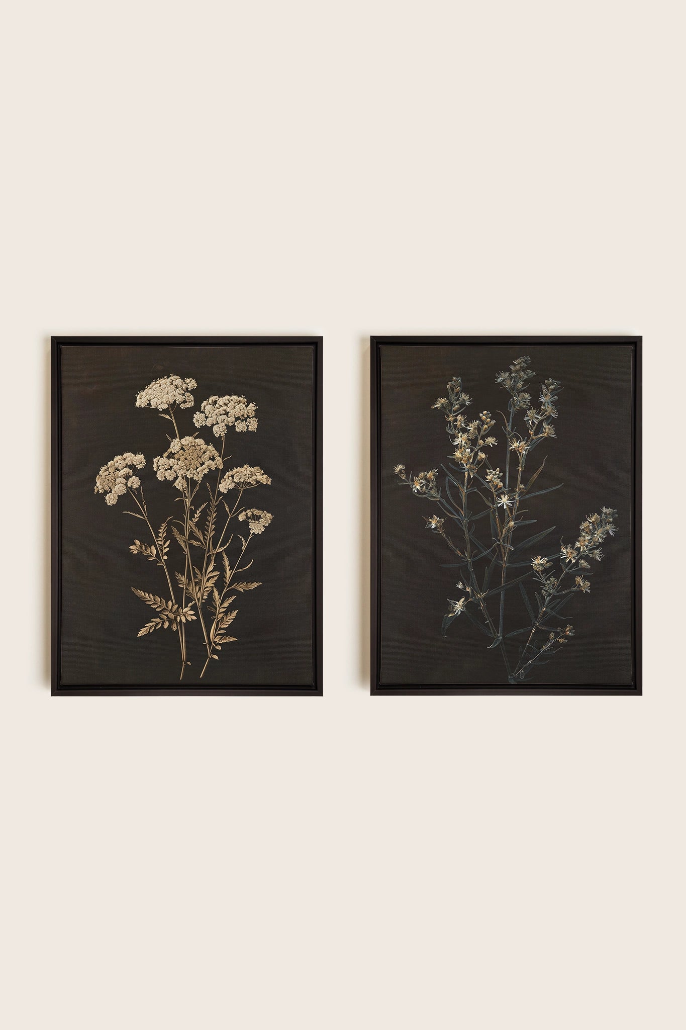 DUO FLEURS PRÉCIEUSES, 2 Oeuvres sur toile étirée, encadré Noir