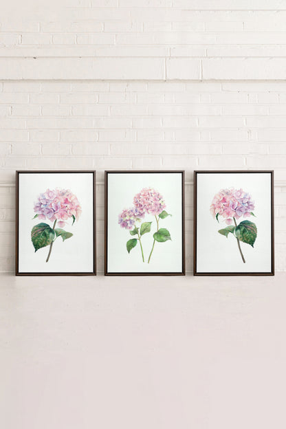 BLOSSOMING TRIO, 3 Oeuvres sur toile étirée, encadré Brun Noyer