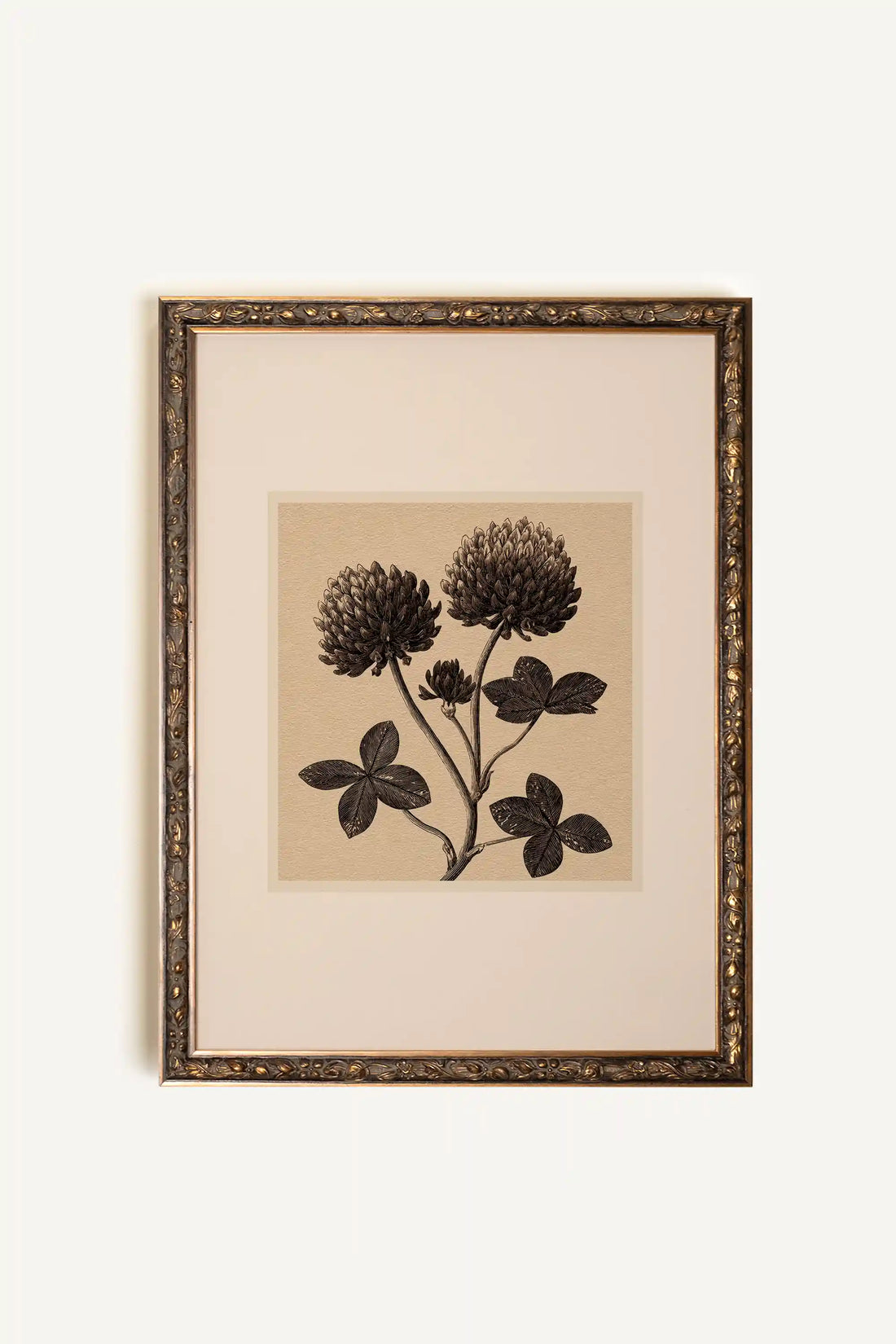 FIELD RELIC, Oeuvre sur toile étirée, encadré Vintage Bronze