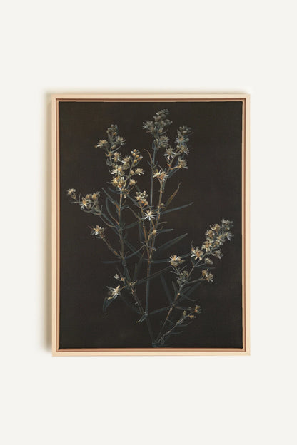 OLEKA CANVAS - FLEUR D&