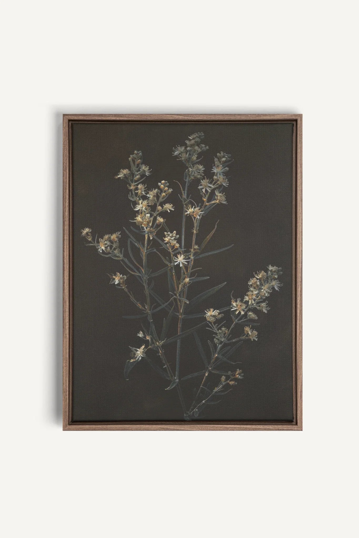 OLEKA CANVAS - FLEUR D&