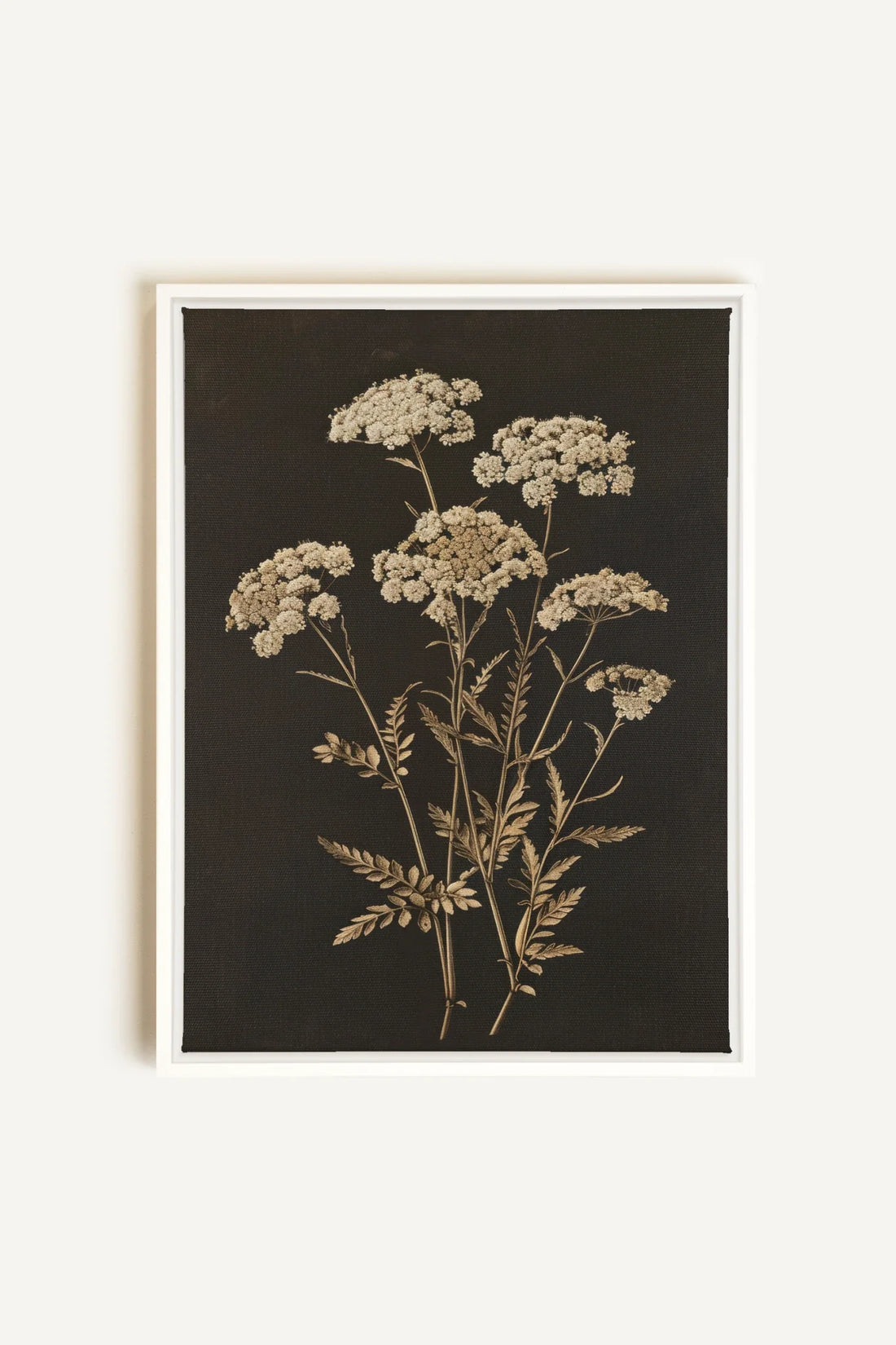 OLEKA CANVAS - FLEUR D&