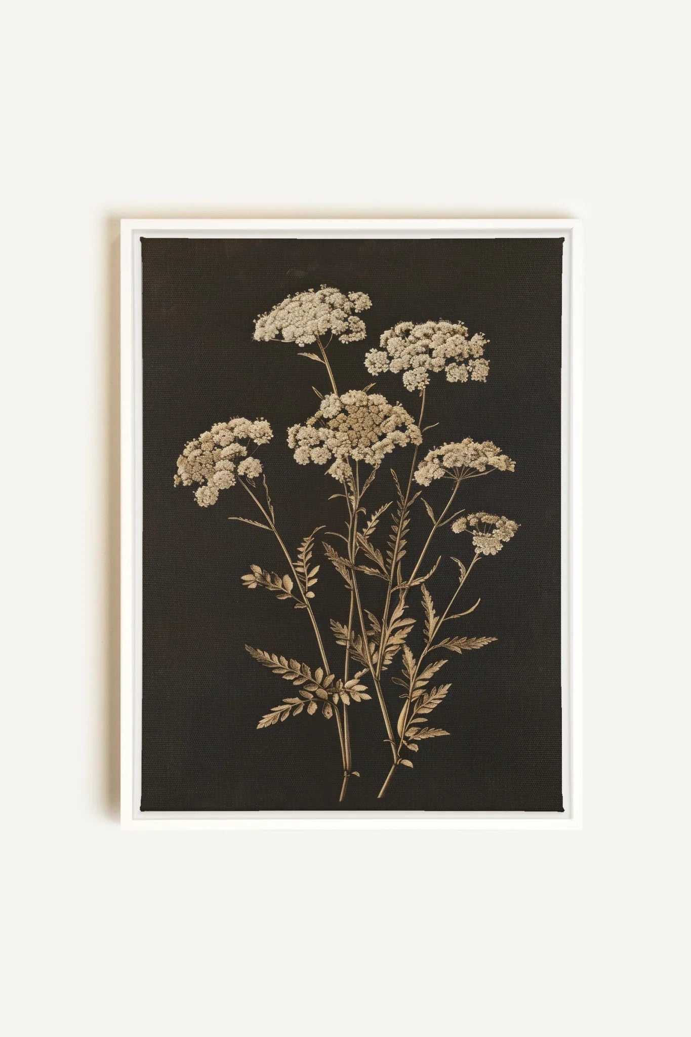 OLEKA CANVAS - FLEUR D&