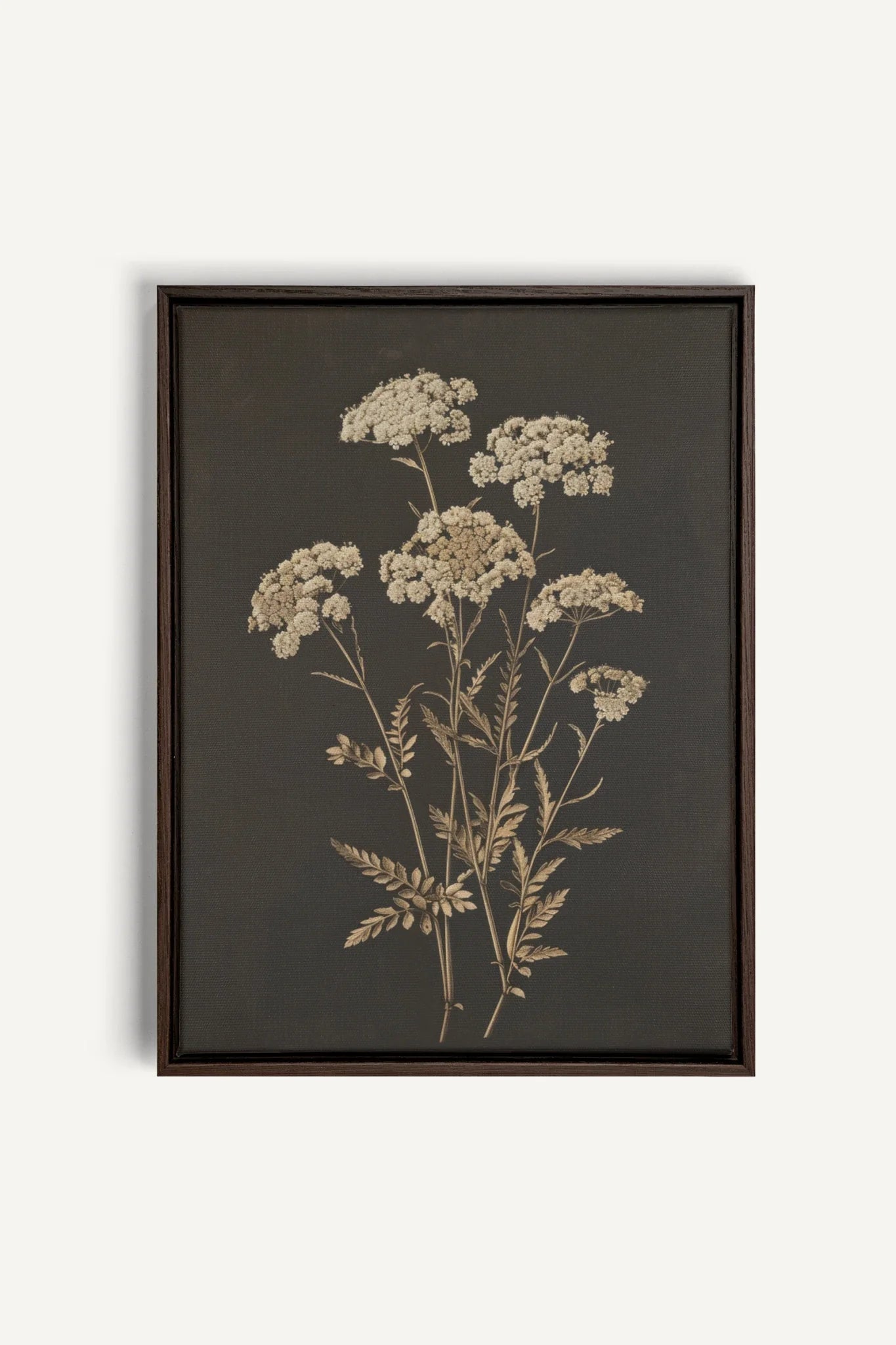 OLEKA CANVAS - FLEUR D&