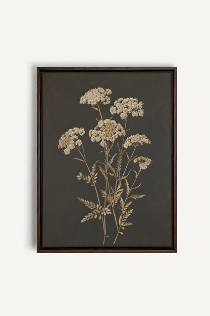 OLEKA CANVAS - FLEUR D&