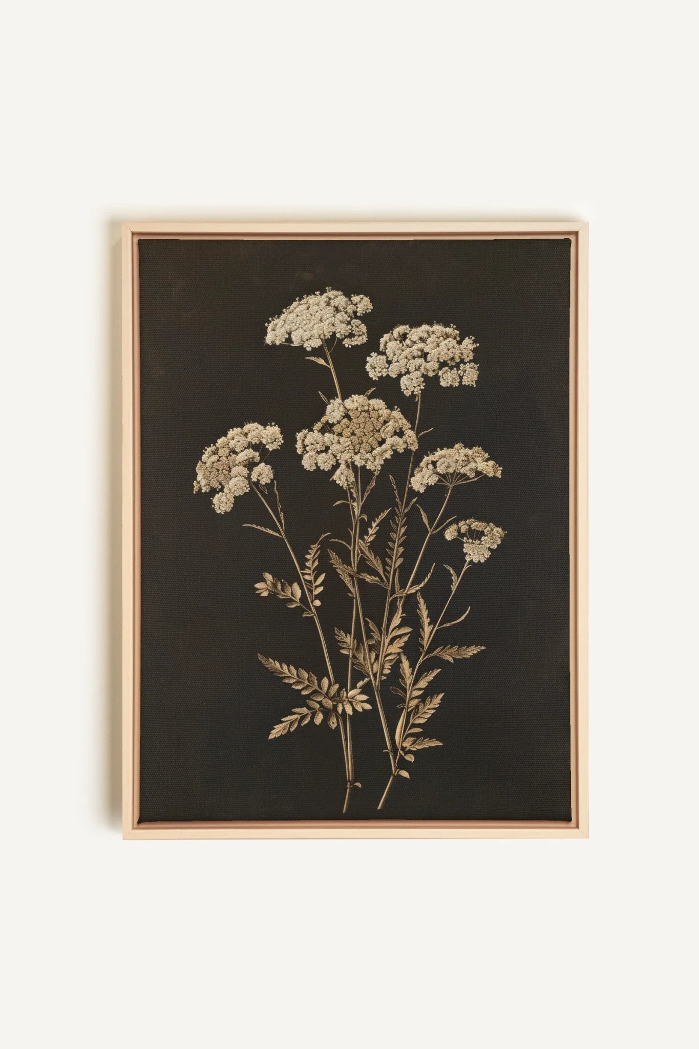 OLEKA CANVAS - FLEUR D&