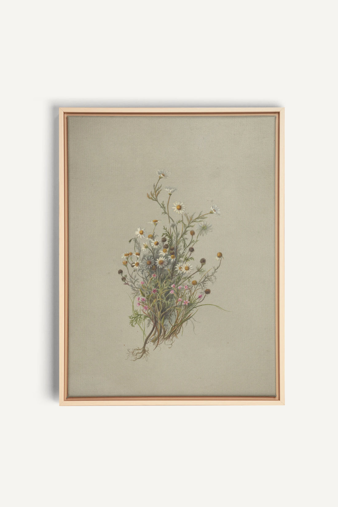 FLEURS DES PRÉS, Oeuvre sur toile étirée, encadré Naturel Clair