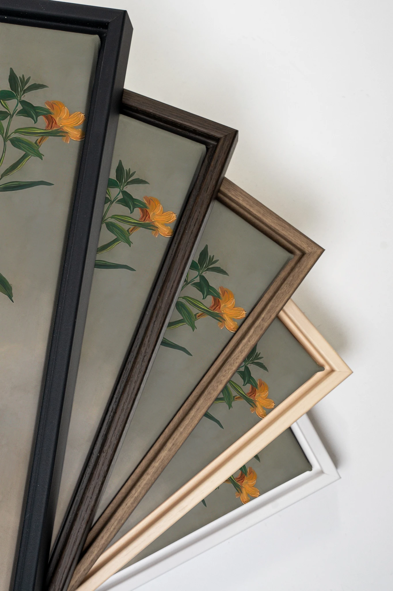 FLORAL REVERIE, Oeuvre sur toile étirée, encadré Blanc