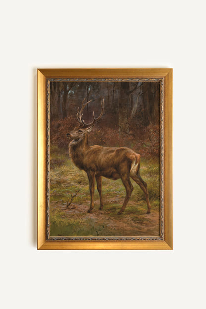 FOREST KING, Oeuvre sur toile étirée, encadré Vintage Or
