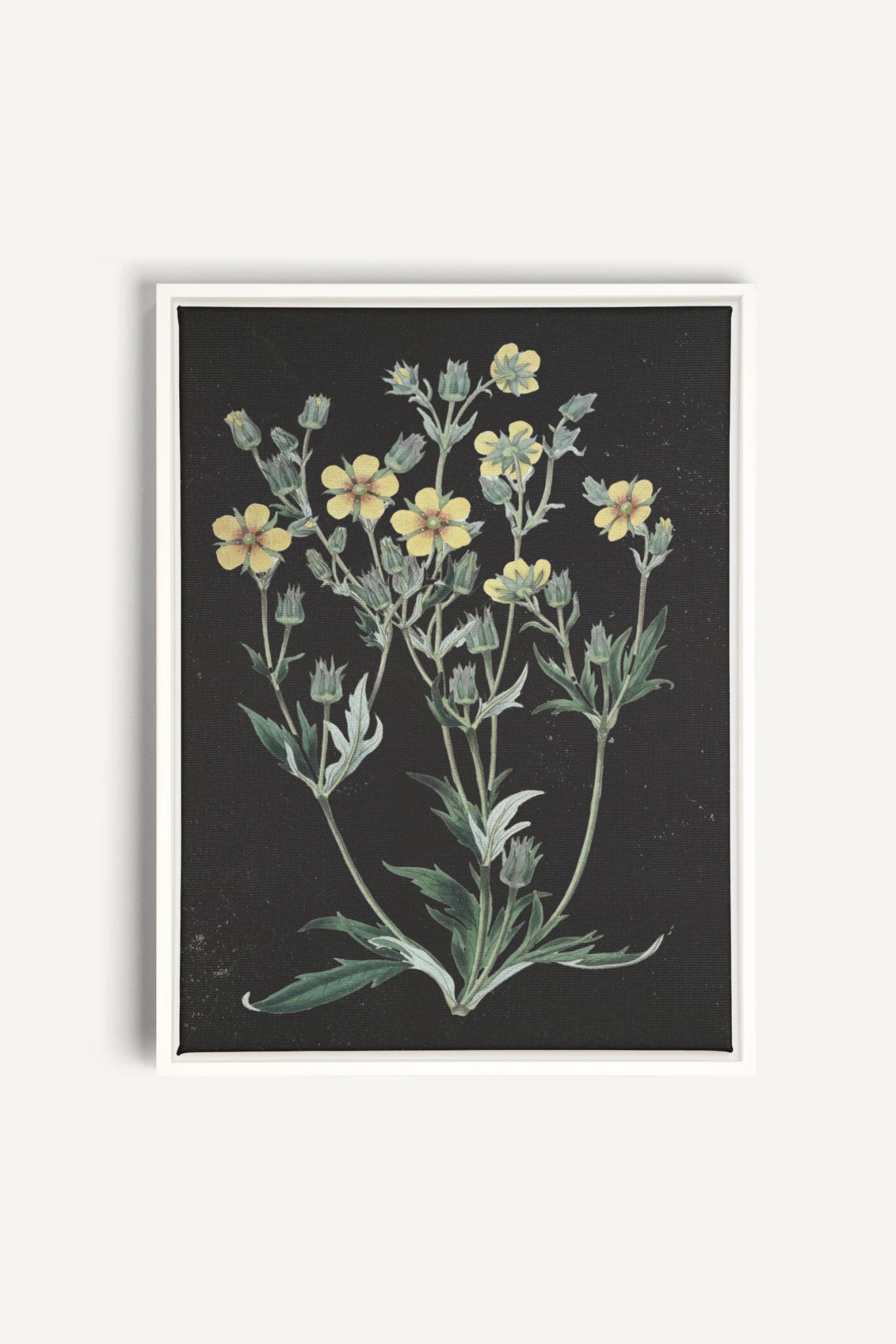 GOLDEN STILLNESS, Work on stretched canvas, framed White