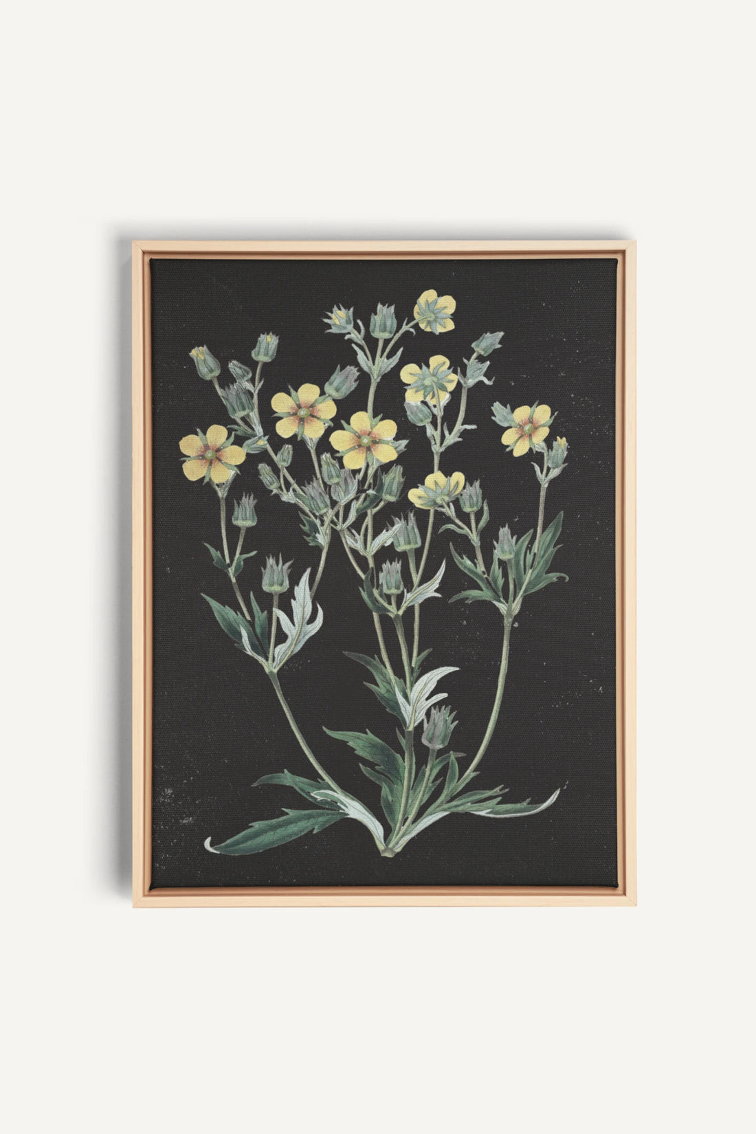 GOLDEN STILLNESS, Oeuvre sur toile étirée, encadré Naturel Clair