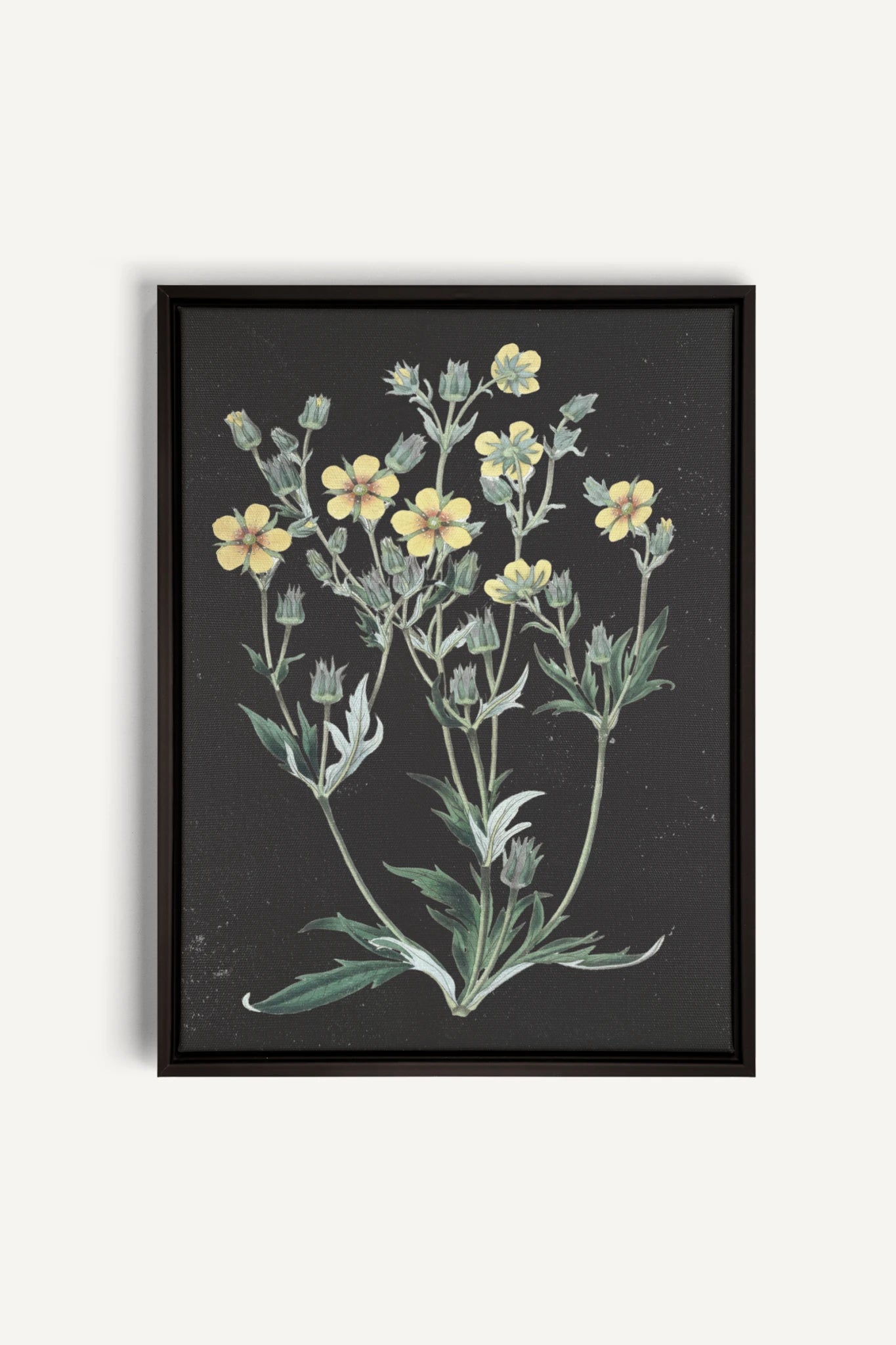 GOLDEN STILLNESS, Work on stretched canvas, framed Black