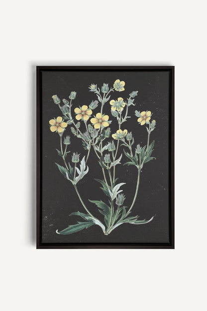 GOLDEN STILLNESS, Work on stretched canvas, framed Black