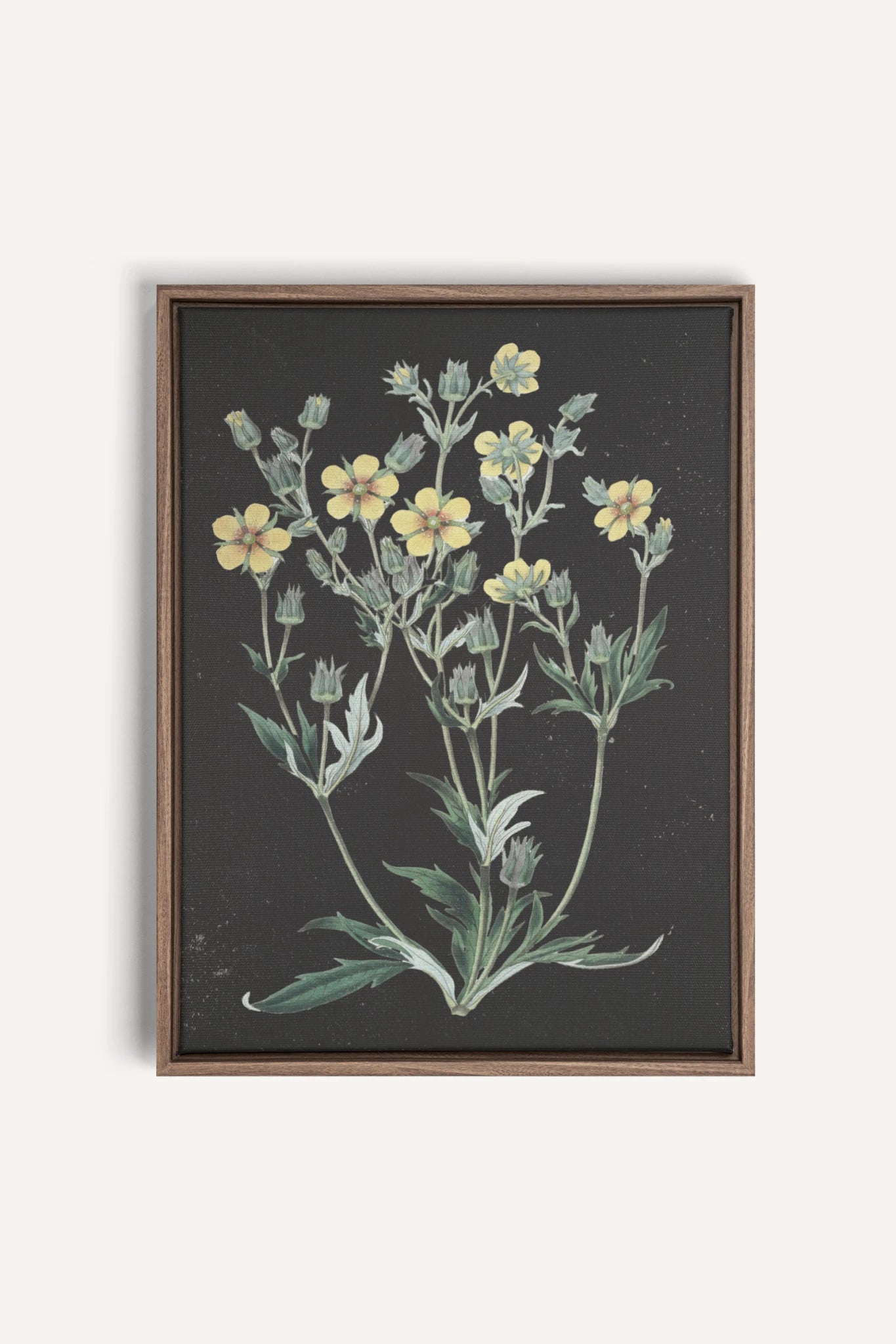 GOLDEN STILLNESS, Work on stretched canvas, framed Oak Brown