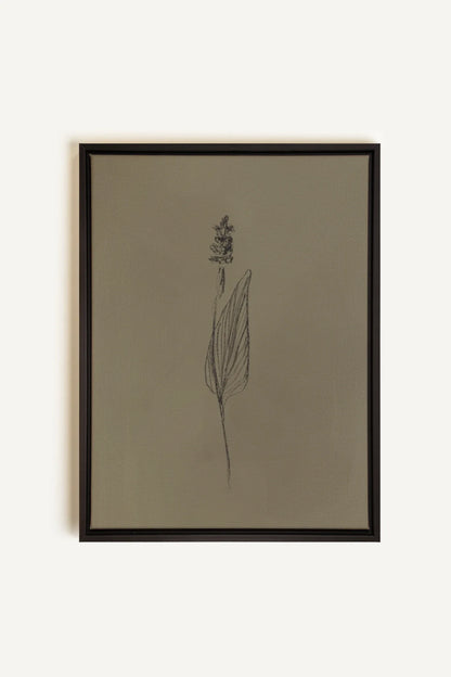 OLEKA CANVAS - GRAIN DE NATURE, Oeuvre sur toile étirée, encadré Noir