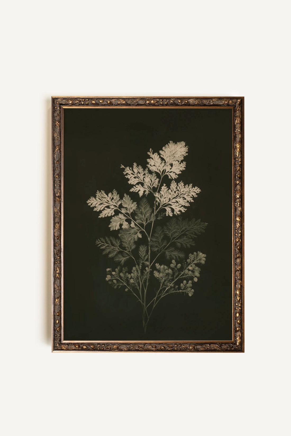 HERBES DES BOIS I, Oeuvre sur toile rigide, encadré Vintage Bronze