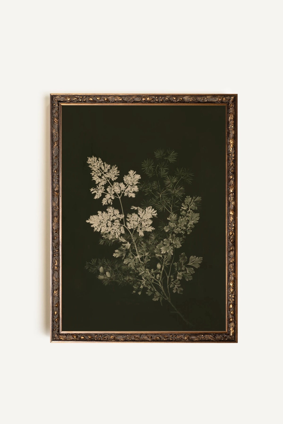 Herbes des bois II, Artwork on rigid canvas, Vintage Bronze frame