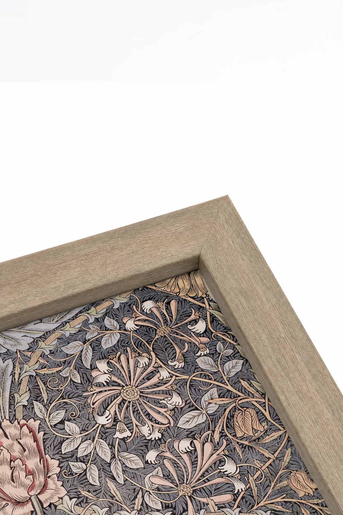 HONEYSUCKLE, Oeuvre sur toile rigide, encadré brun chêne
